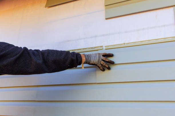 Best Engineered Wood Siding  in Micco, FL